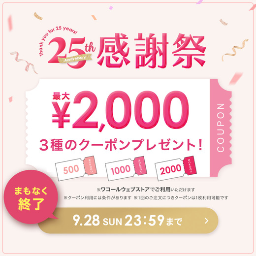 ☆ワコール パルファージュ Ｄ65✖️Ｓsizeソング BXD420IV_ITM_B1.jpg?sw=1200